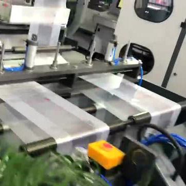 CY430＊2雙道全自動背心袋成型制袋機(jī)